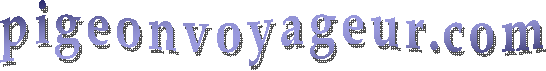 pigeonvoyageur.com